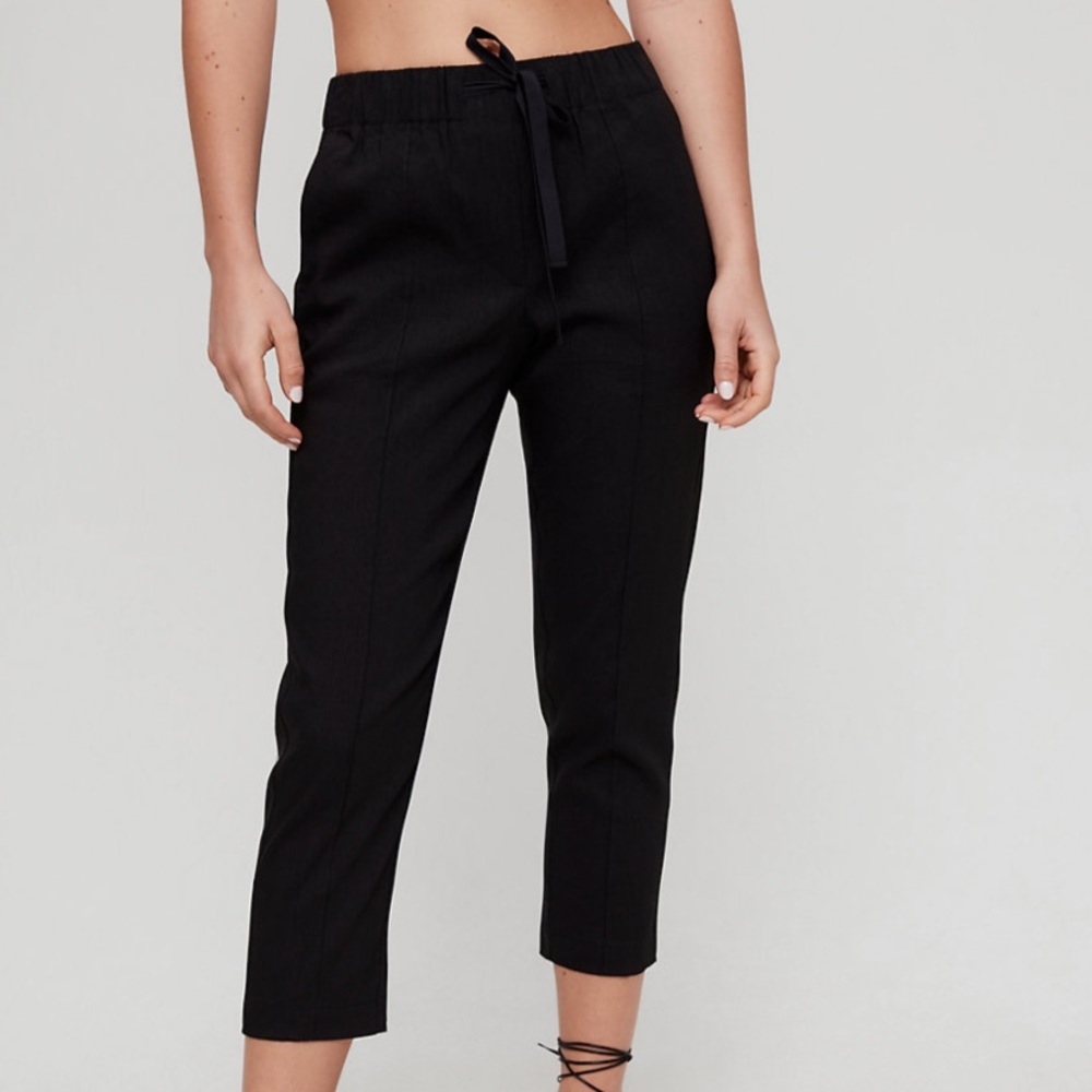 Aritizia Babaton Errol trousers